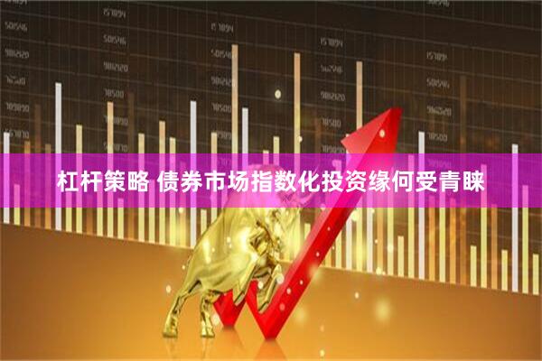 杠杆策略 债券市场指数化投资缘何受青睐